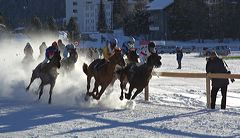 arosa_mg_1138