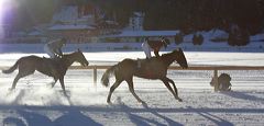 arosa_mg_1150